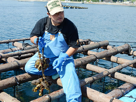 かき漁師の中村さん